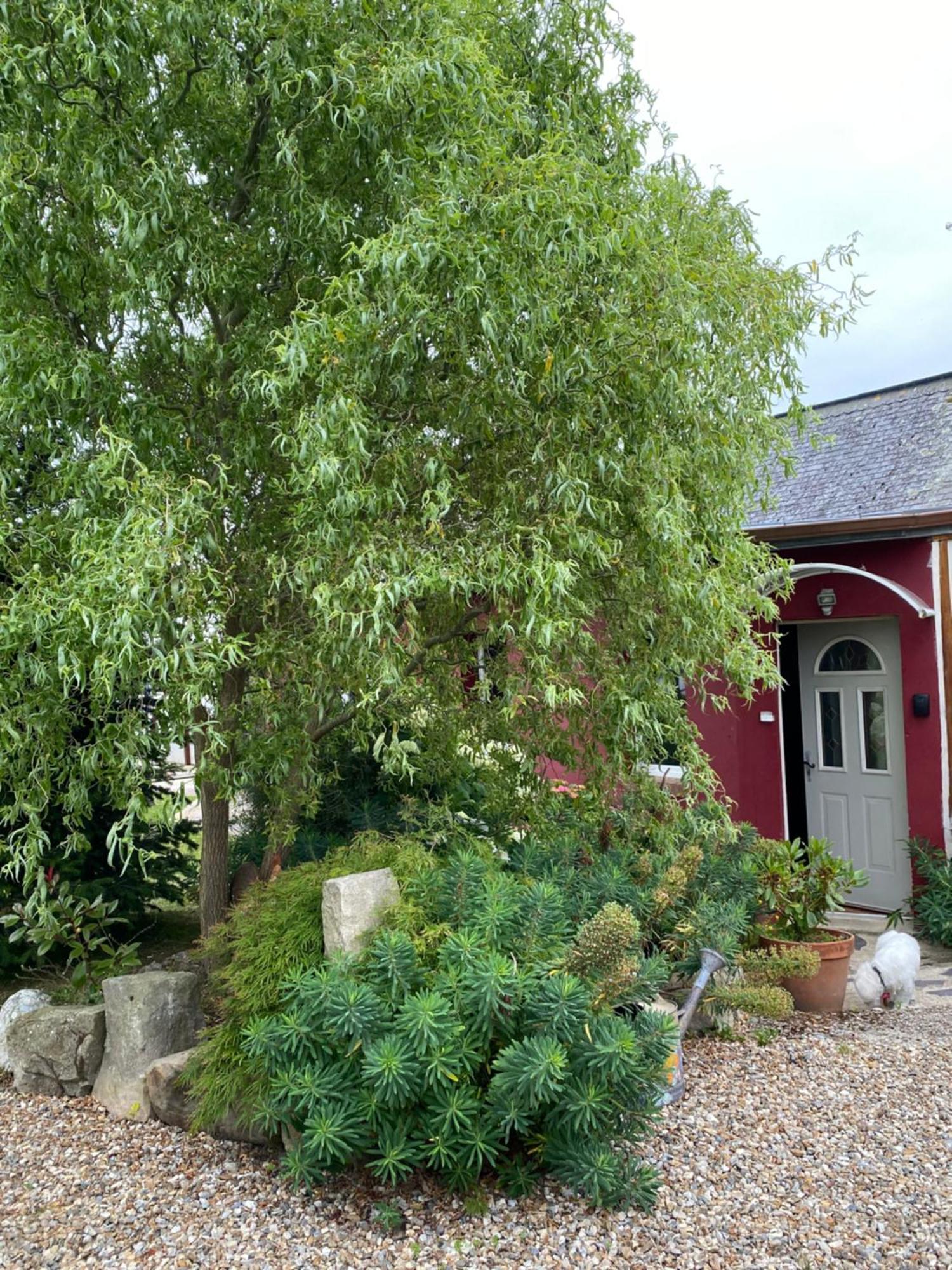 La Maison De Famille Néville Exterior foto